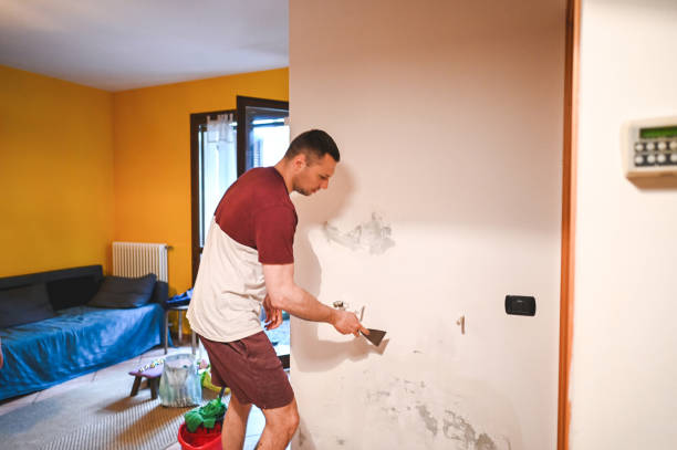 Best Attic Mold Removal  in Pine Island Center, FL